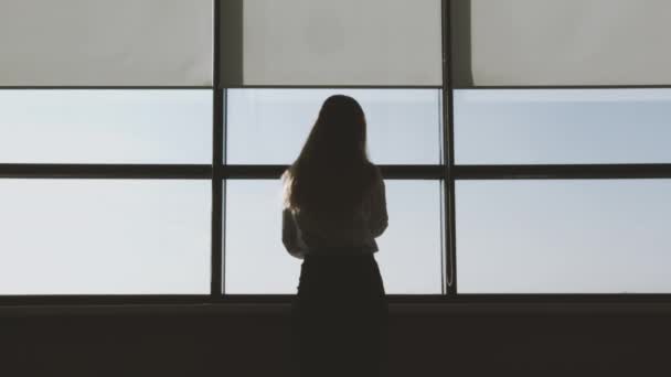 Silhouette Einer Geschäftsfrau Mit Smartphone Büro Mit Großem Panoramafenster Geschäfts — Stockvideo