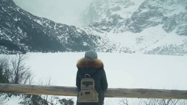 Dziewczynka Plecakiem Zimie Przemieszcza Się Góry Chodzić Dolinie Wśród Ośnieżone — Wideo stockowe