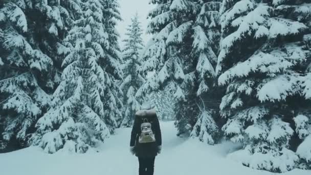 バックパックと女の子の旅行者の旅冬の森 素敵な冬の森の中を歩く — ストック動画