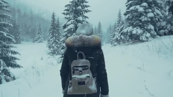 Meisje Reiziger Met Een Rugzak Reist Het Forest Van Winter — Stockvideo