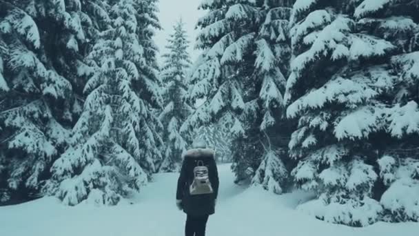 バックパックと女の子の旅行者の旅冬の森 素敵な冬の森の中を歩く — ストック動画