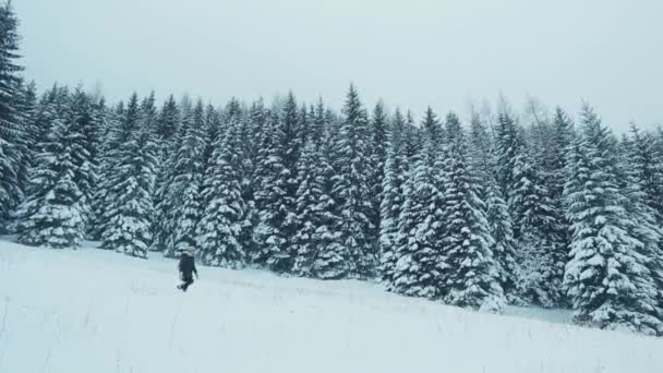 女の子は 美しい冬の森林景観の背景に山の斜面に沿って移動します 冬雪に紛れて針葉樹林の美しいパノラマ — ストック動画