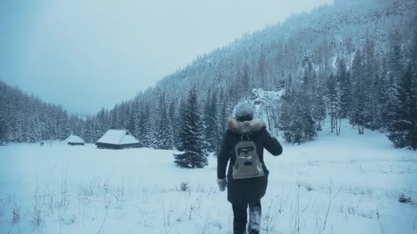 バックパックと女の子の旅行者の旅冬の森 素敵な冬の森の中を歩きます 冬の森と山々 のパノラマをスマート フォンで写真を撮る — ストック動画