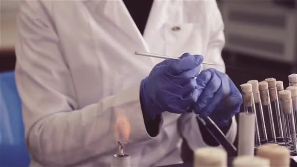 Assistant Laboratoire Effectue Des Tests Des Analyses Laboratoire Réchauffe Une — Video