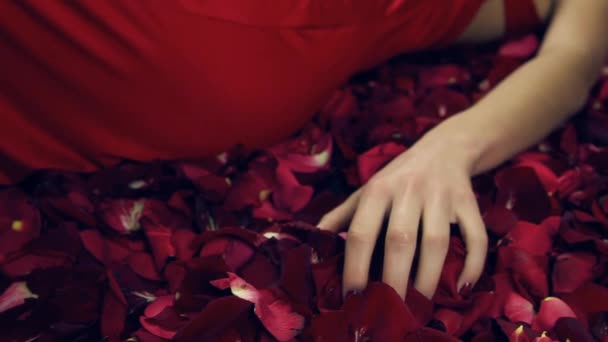 女の子は花びら赤いバラに沿って彼女の手を実行し 拳で花びらを収集し 花を絞ります スローモーション 背景の赤い花やバラの上にスタジオで小さなパイプ赤を撮影 花でクローズアップ女の子の手 — ストック動画