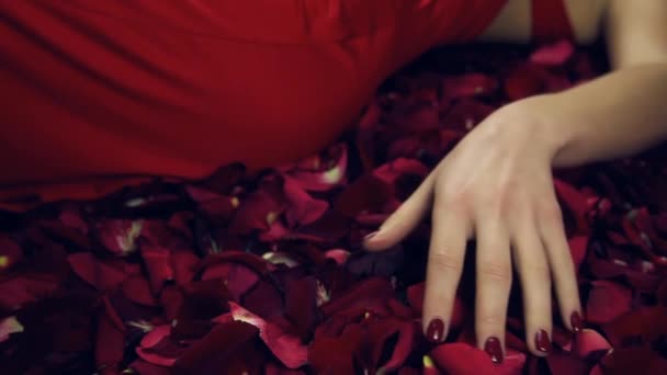 Girl Runs Her Hand Petals Red Roses Collects Petals Fist — Stock Video