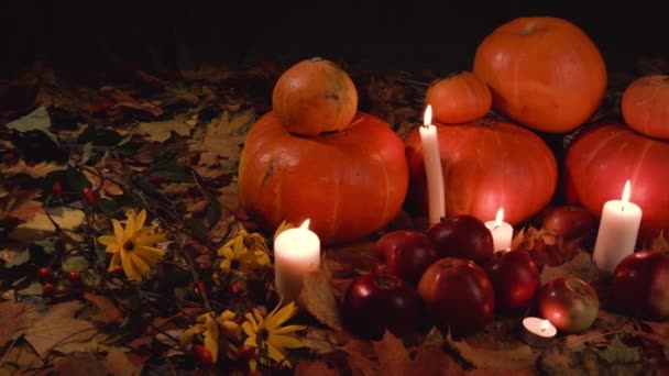 Cosecha Calabazas Pequeñas Grandes Manzanas Rojas Flores Amarillas Hierba Seca — Vídeos de Stock