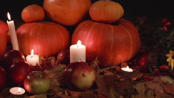 Cosecha Calabazas Pequeñas Grandes Manzanas Rojas Flores Amarillas Hierba Seca — Vídeos de Stock