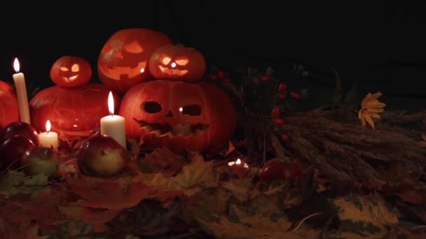 Dzień Wszystkich Świętych Święto Dziękczynienia Halloween Harvest Festival Pomarańczowe Dynie — Wideo stockowe