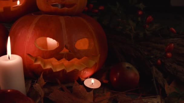 День Святых День Благодарения Хэллоуин Фестиваль Урожая Большие Маленькие Оранжевые — стоковое видео
