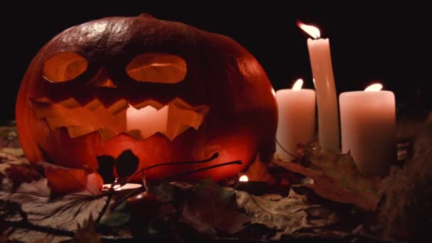 所有的圣徒节 感恩节 万圣节 收获节 一个有着可怕面孔的大南瓜躺在秋天的枫叶里 蜡烛的火闪烁 蜡烛在南瓜内燃烧 — 图库视频影像