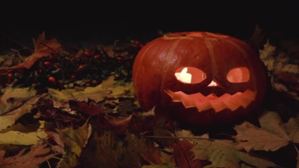 Festa Ognissanti Ringraziamento Halloween Festa Del Raccolto Una Grande Zucca — Video Stock
