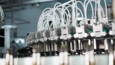 Bir bira fabrikasında otomatik dolum makinesi. Konveyör bandı üzerinde bira için cam şişeler. Sanayi için dolum makinesi.