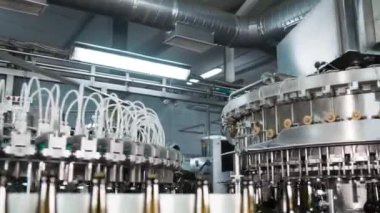 Bir bira fabrikasında otomatik dolum makinesi. Konveyör bandı üzerinde bira için cam şişeler. Sanayi için dolum makinesi.
