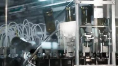 Bir bira fabrikasında otomatik dolum makinesi. Konveyör bandı üzerinde bira için cam şişeler. Sanayi için dolum makinesi.
