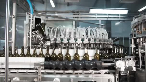 Автоматическая Заправочная Машина Наливающая Пиво Пивоварню Стеклянные Бутылки Пива Конвейере — стоковое видео