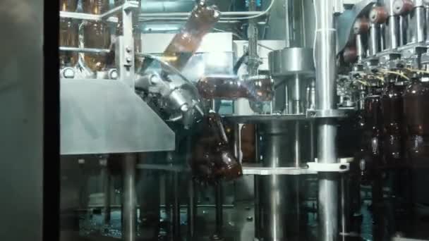 Riempitrice Automatica Che Versa Birra Birrificio Bottiglie Plastica Birra Sul — Video Stock