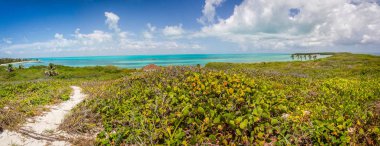 Contoy Island, Meksika vahşi Beach panoramik
