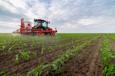 Tractor spray fertilize field with insecticide herbicide chemicals in agriculture field  clipart
