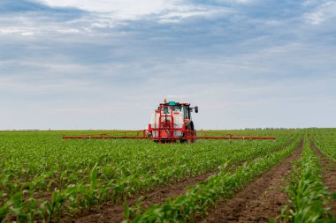 Traktör tarlada böcek ilacı kimyasallarıyla gübreleme yapıyor. 