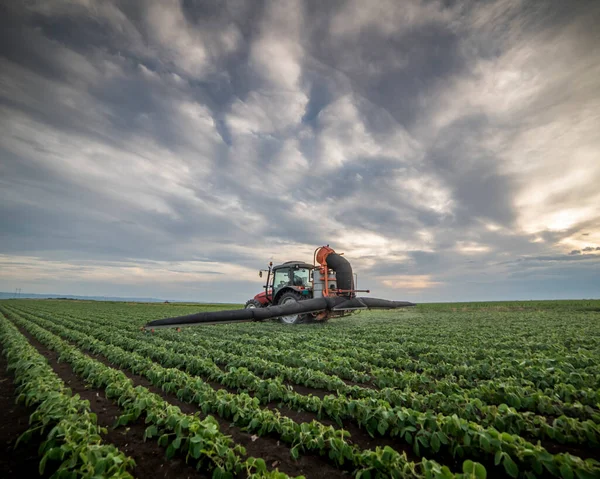 Trattori Che Spruzzano Pesticidi Nei Campi Soia — Foto Stock