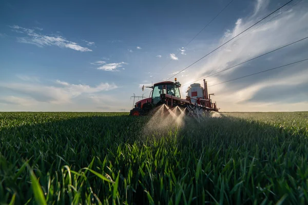 Трактор Распыления Пшеницы Весной Поле — стоковое фото