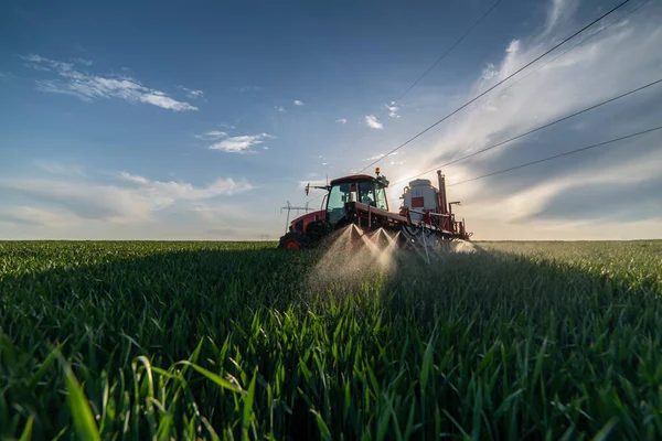 Traktor Stříká Pšenici Jaře Poli — Stock fotografie