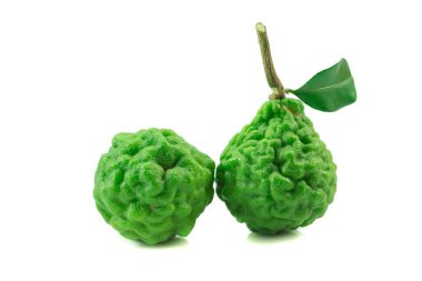 Beyaz arka plan üzerinde izole yaprak taze bergamot.