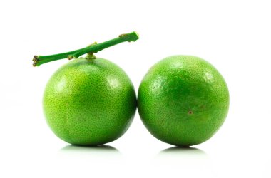 beyaz arkaplanda izole kireç