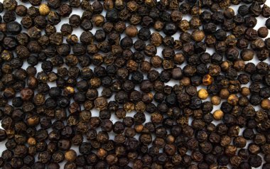 Siyah akrep beyaz arkaplanda izole edildi.