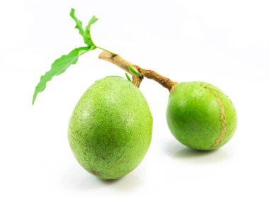 Beyaz arka plan üzerinde tıbbi Bael meyve