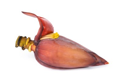 Beyaz arkaplanda yalıtılmış muz çiçeği