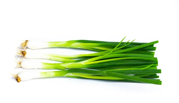 Cebolla Primavera Aislada Sobre Fondo Blanco — Foto de Stock