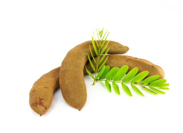 Färsk Tamarind Isolerad Vit Bakgrund Med Blad — Stockfoto