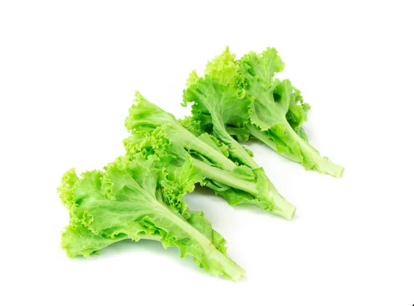 Lettuce Isolated White Background — Stock Photo, Image