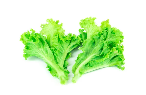 Salatblatt Salat Isoliert Auf Weißem Hintergrund — Stockfoto