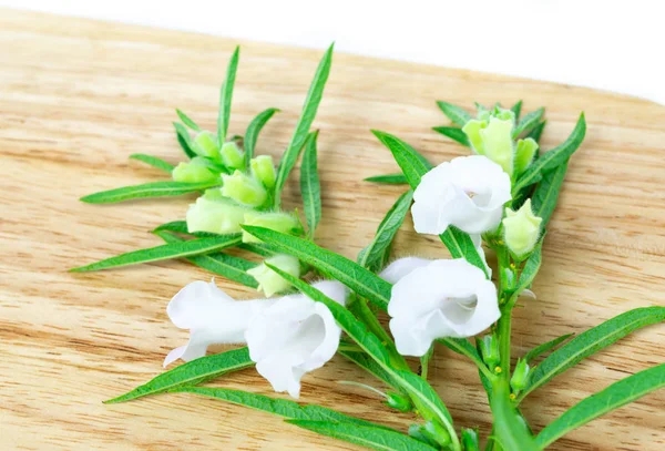 Ahşap zemin üzerine susam çiçeği.