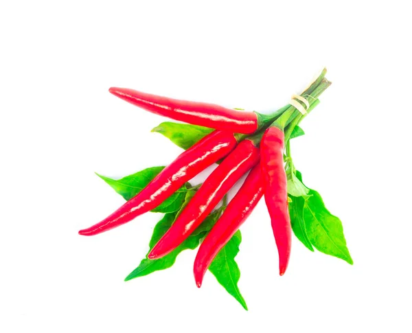 Red Hot Chili Paprika Hagyja Elszigetelt Fehér Háttér — Stock Fotó