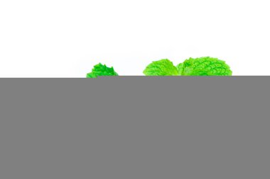 Taze nane lisolated beyaz arka plan üzerinde.