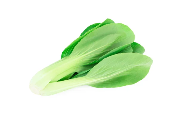 Ciose Bok Choy Gemüse Isoliert Auf Dem Weißen Hintergrund — Stockfoto