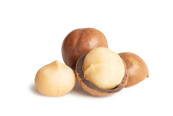 Macadamia Noten Geïsoleerd Witte Achtergrond — Stockfoto
