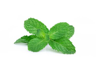 Taze nane yaprakları beyaz arka plan üzerinde izole. Nane Nane, yakın çekim