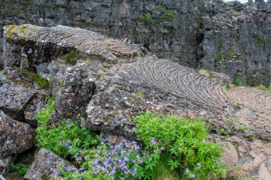 İzlanda volkanik Krafla sisteminde katılaşmış lavın detay