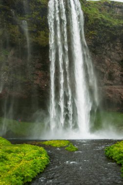 İzlanda'daki görkemli Seljalandsfoss şelale