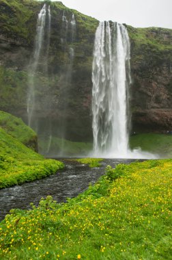 İzlanda'daki görkemli Seljalandsfoss şelale