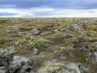İzlanda'daki güzel doğal volkanik manzara