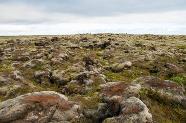 Doku ve desenler İzlanda güzel manzara