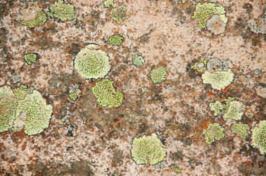 Doku ve desen taş tarafından kurulan