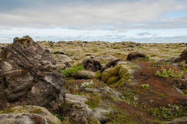 Doku ve desenler İzlanda güzel manzara