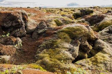 Doku ve desenler İzlanda güzel manzara